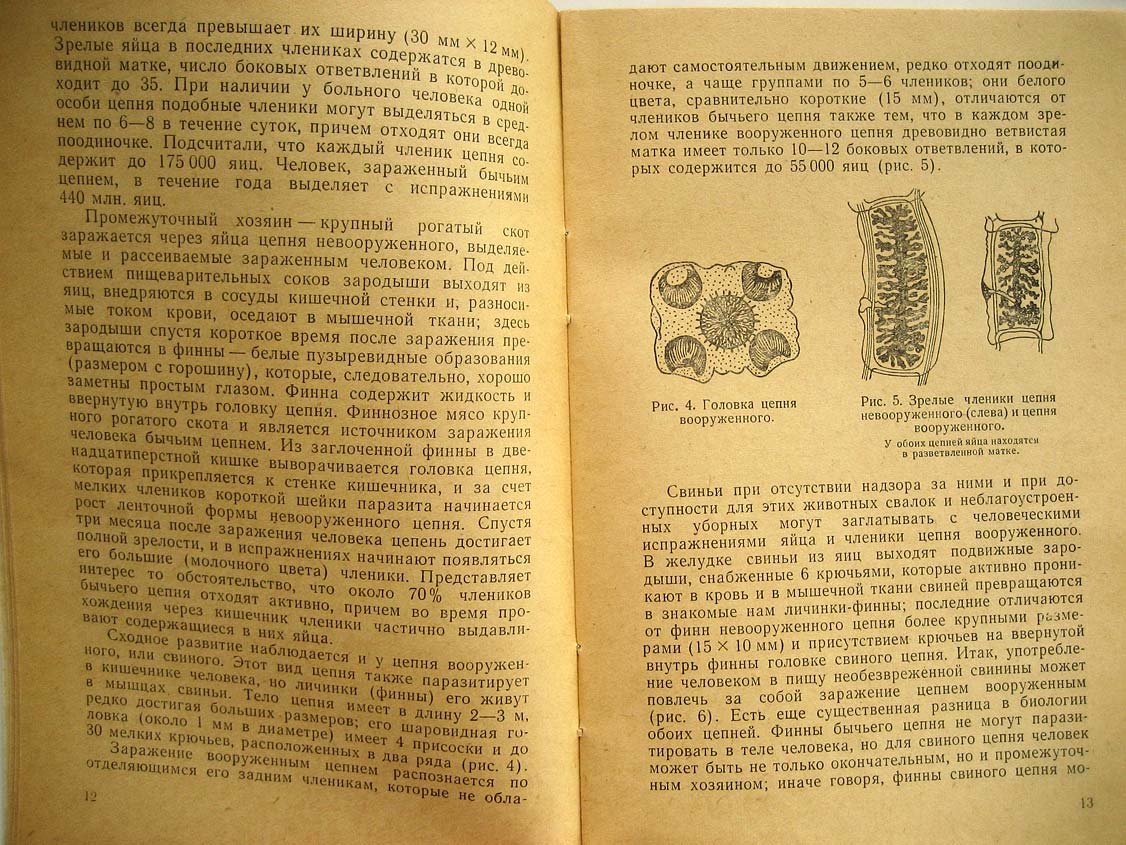 Смирнов Г. Берегись глистов.