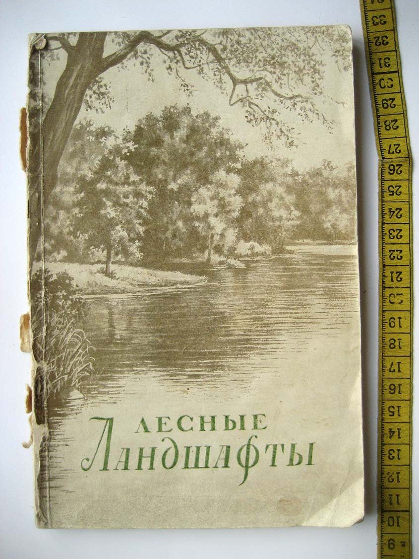 Пряхин В. Лесные ландшафты.