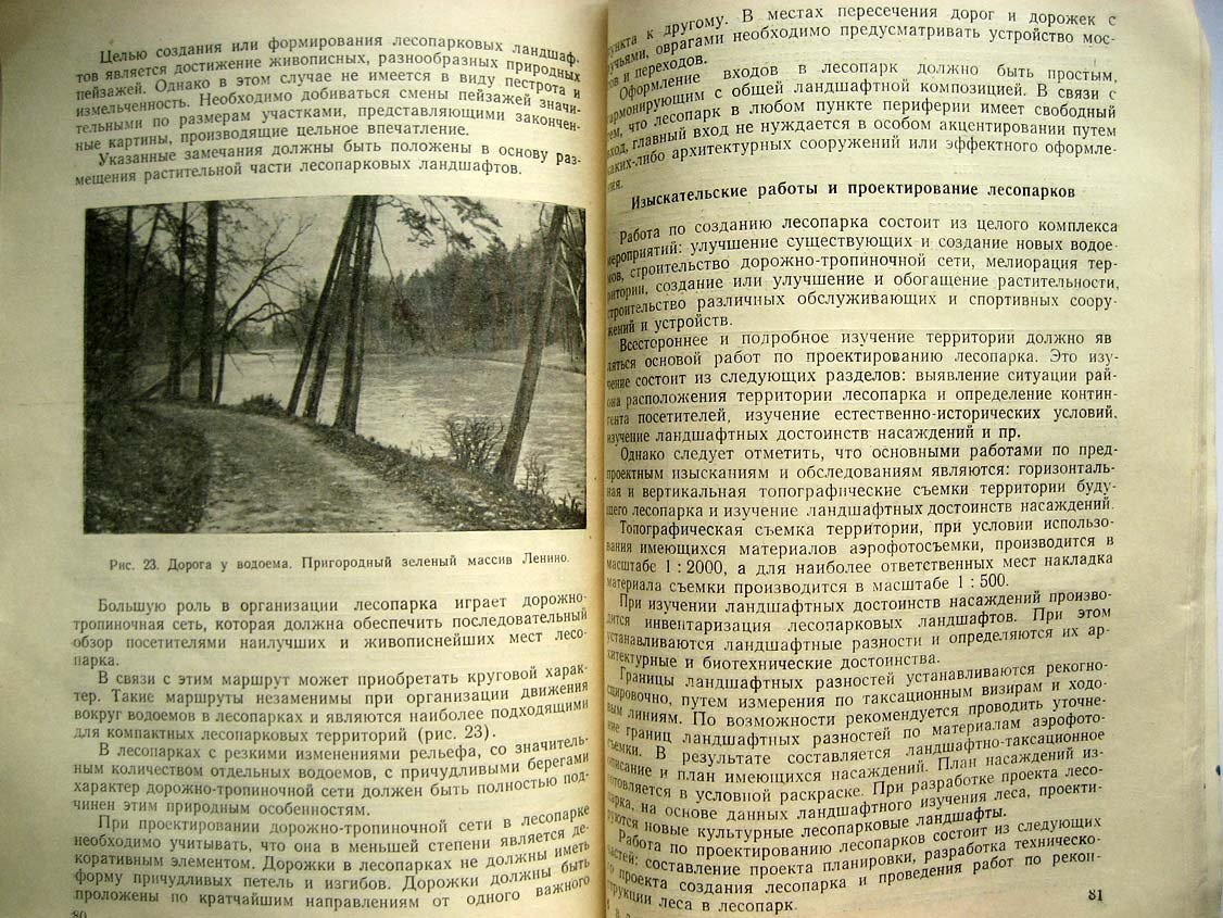 Пряхин В. Лесные ландшафты.