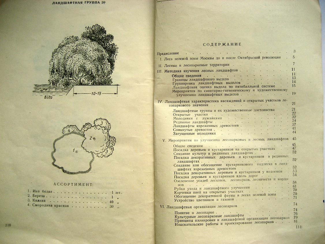Пряхин В. Лесные ландшафты.
