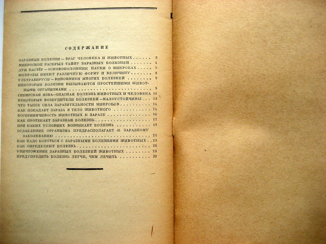 Вышелесский С. Причины появления заразных болезней животных.