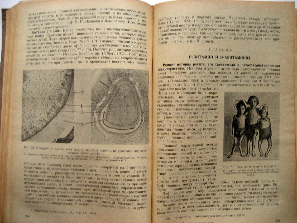 Лавров Б. Учебник физиологии питания.