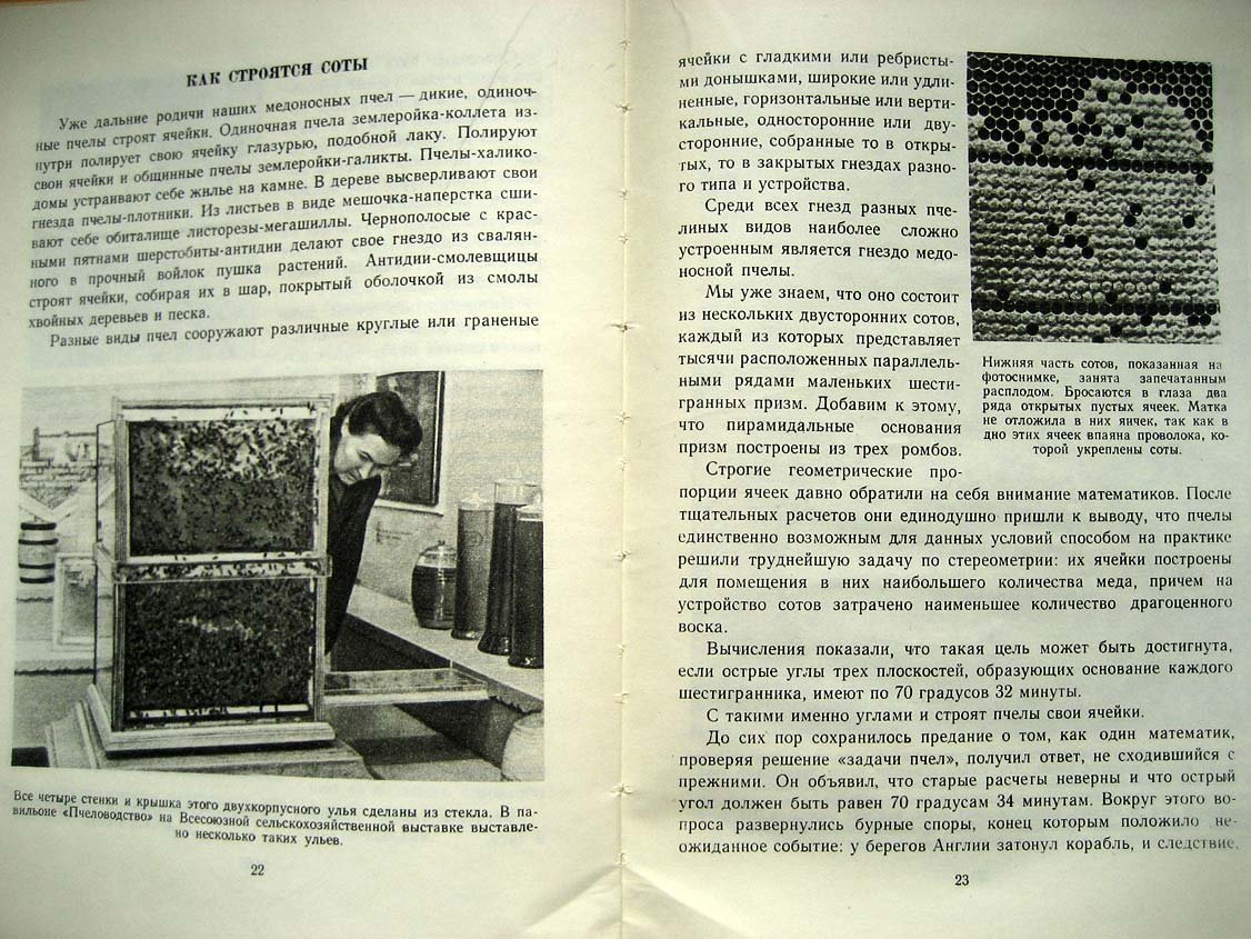 Халифман И. В мире пчел. Экскурсия на пасеку