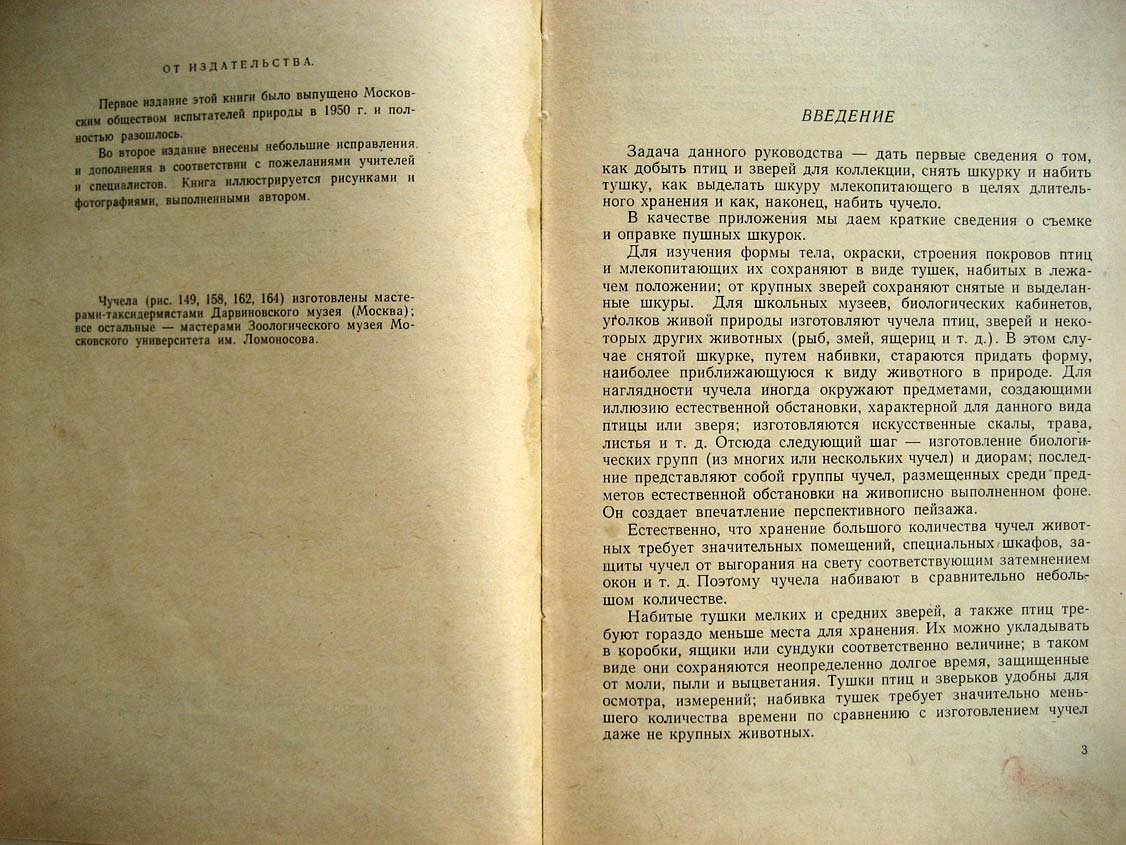 Туров С. Набивка чучел зверей и птиц.