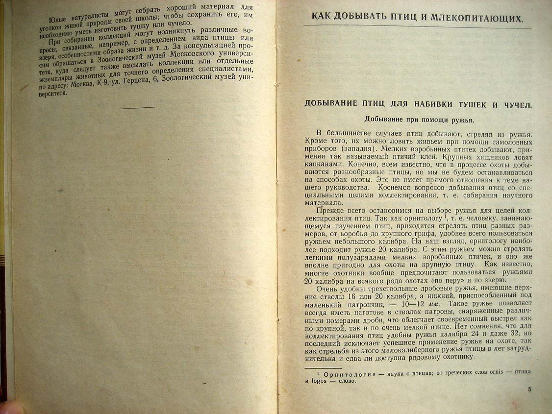 Туров С. Набивка чучел зверей и птиц.