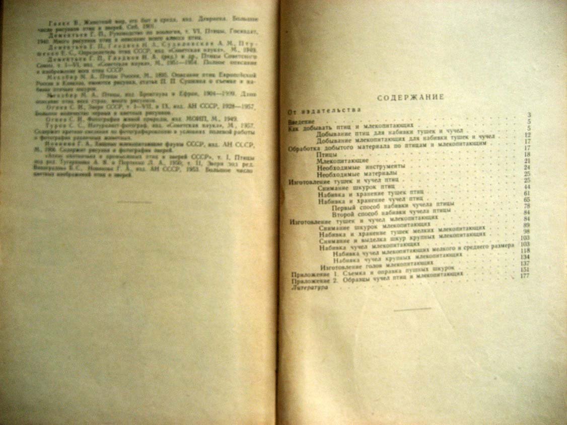 Туров С. Набивка чучел зверей и птиц.