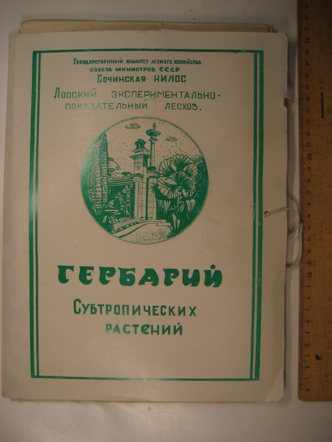 Гербарий Субтропических растений.