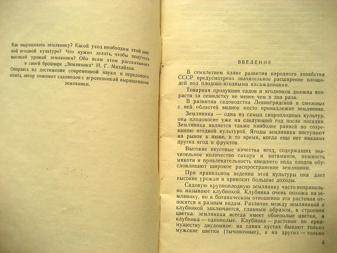 Михайлов И. Земляника.