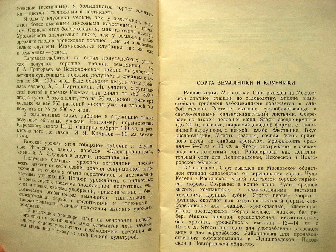Михайлов И. Земляника.
