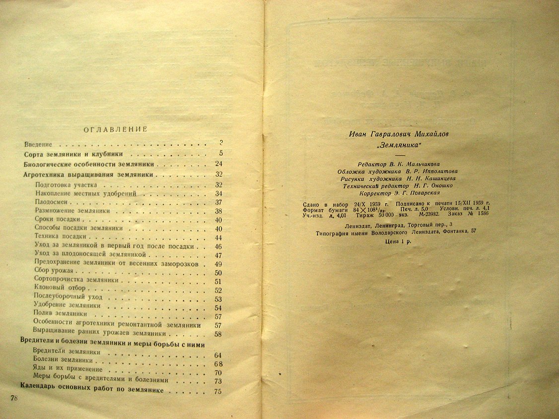 Михайлов И. Земляника.