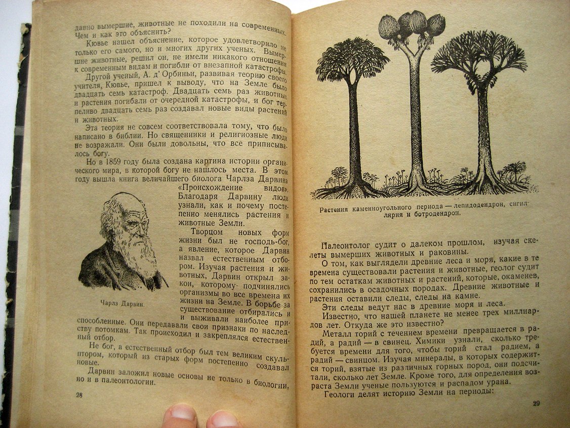 Жемчужников Ю., Гор Г. Каменный уголь.