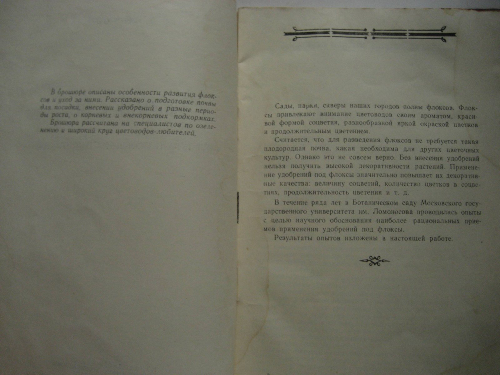 Мантрова Е. Флоксы. (Культура и особенности питания)