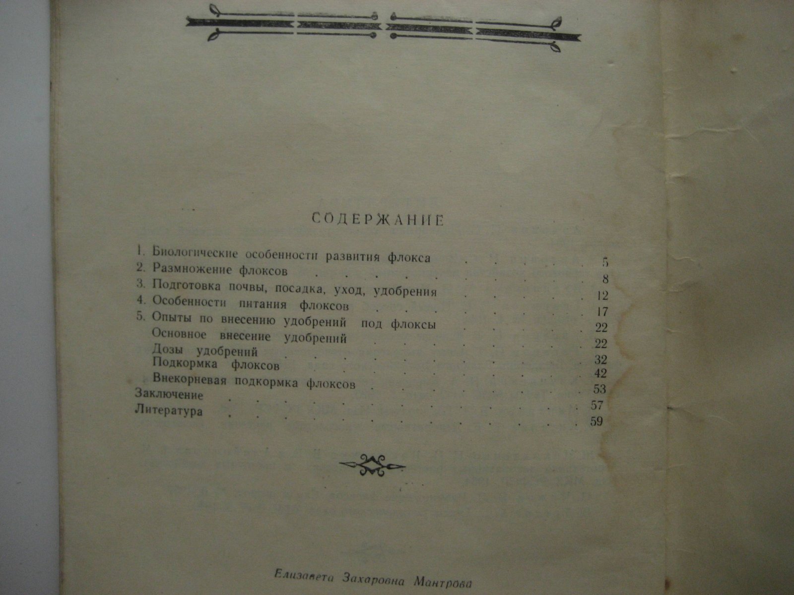 Мантрова Е. Флоксы. (Культура и особенности питания)