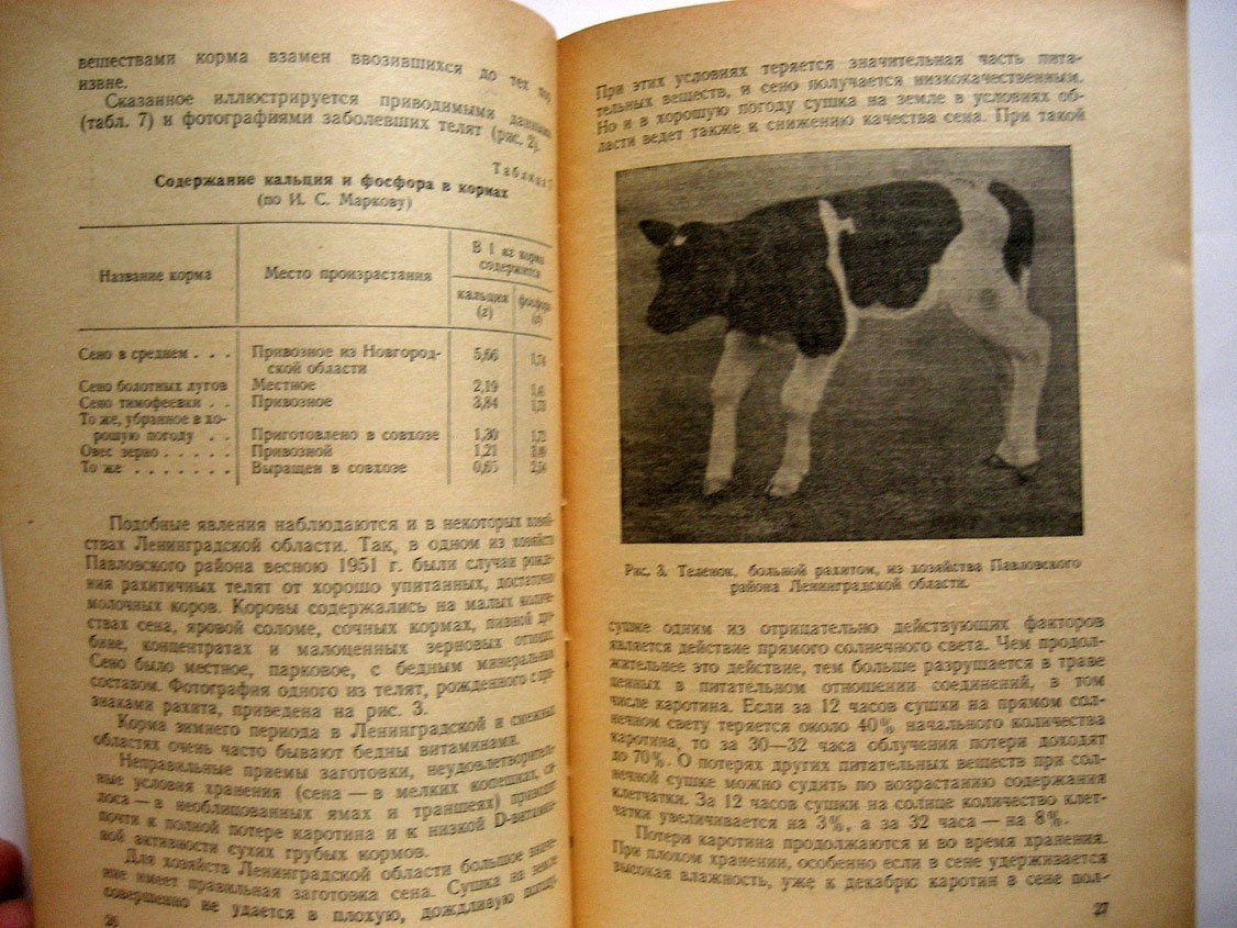 Дмитроченко А. Кормление молочных коров.