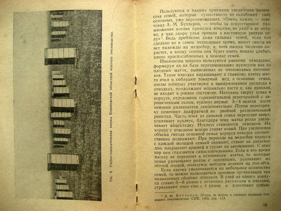 Родионов В., Шабаршов И. Многокорпусный улей и методы пчеловождения.