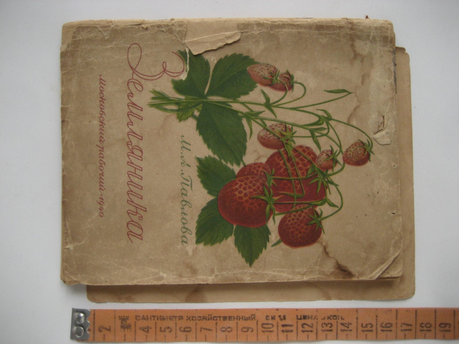 Павлова М. Земляника.