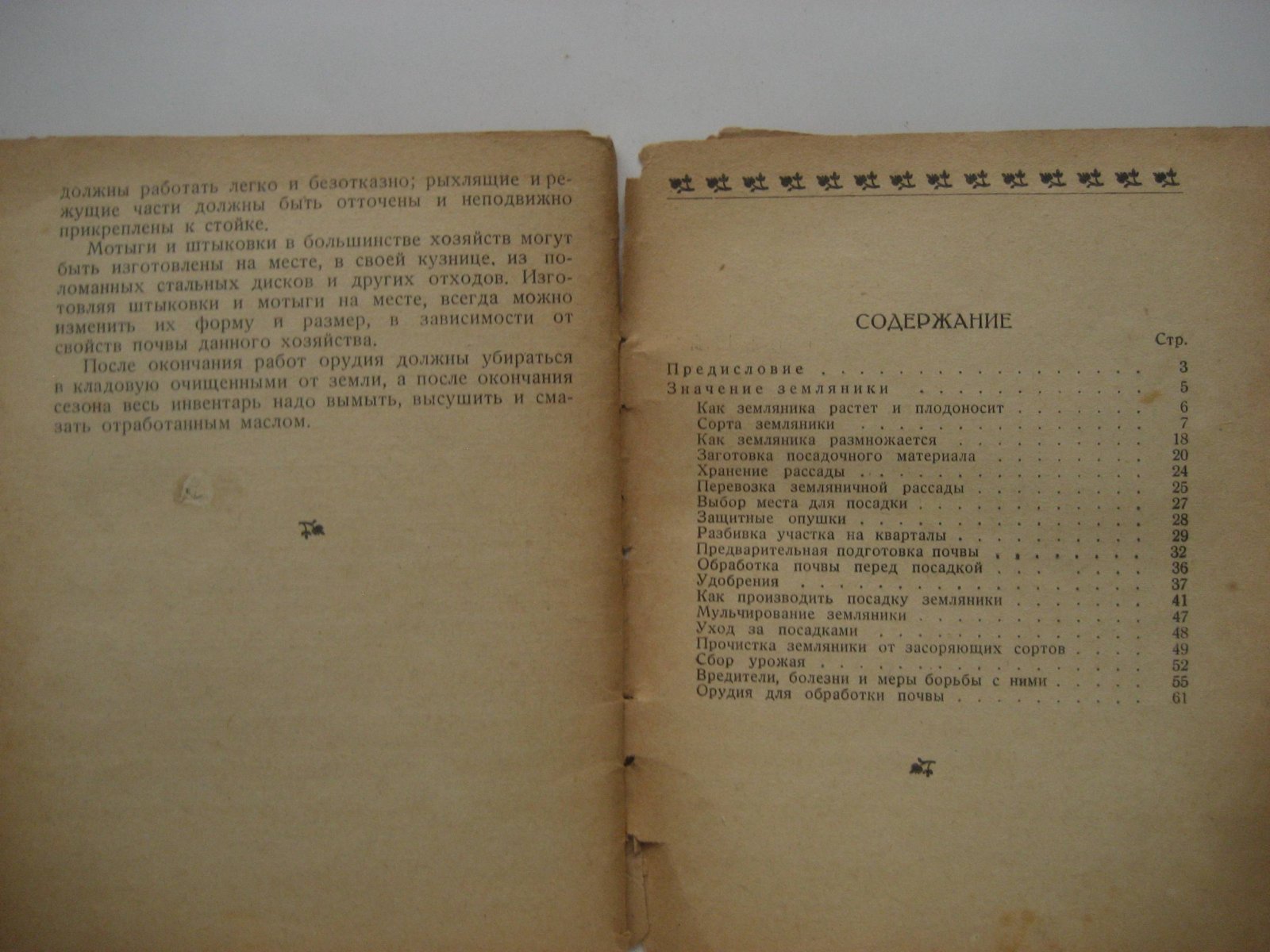 Павлова М. Земляника.