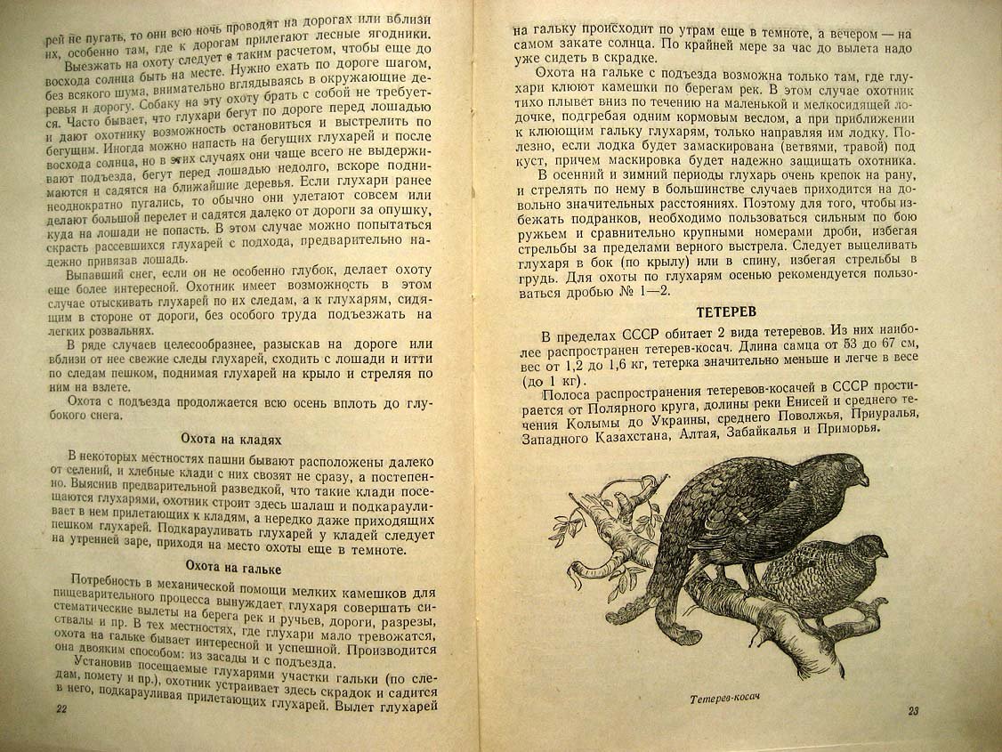 Рахманин Г,. Ружейно-спортивная охота.