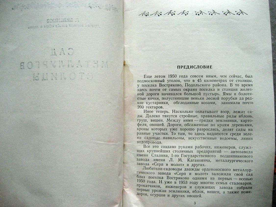 Зеленцов Г. Сад металлургов столицы.