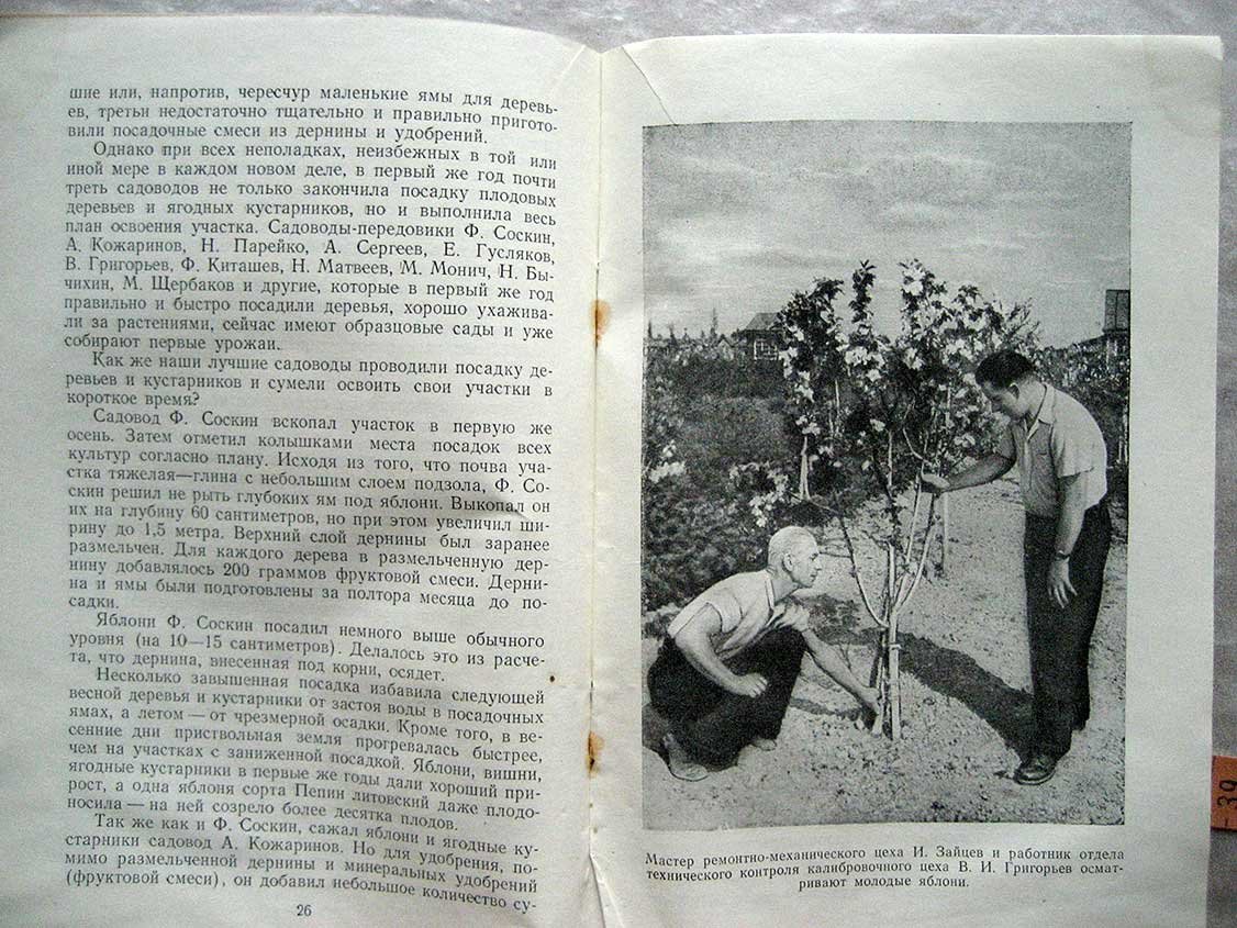 Зеленцов Г. Сад металлургов столицы.