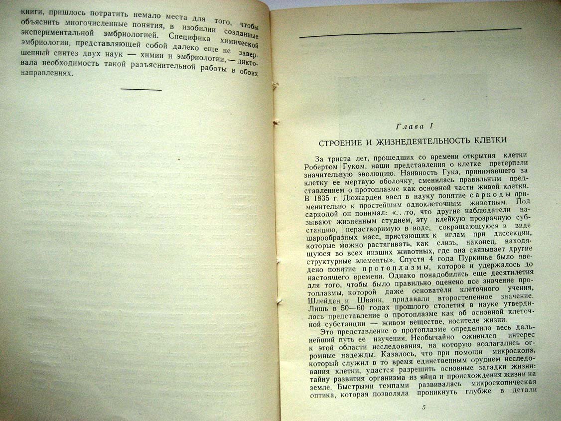 Дорфман В. Химическая эмбриология.