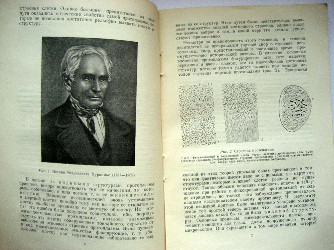 Дорфман В. Химическая эмбриология.