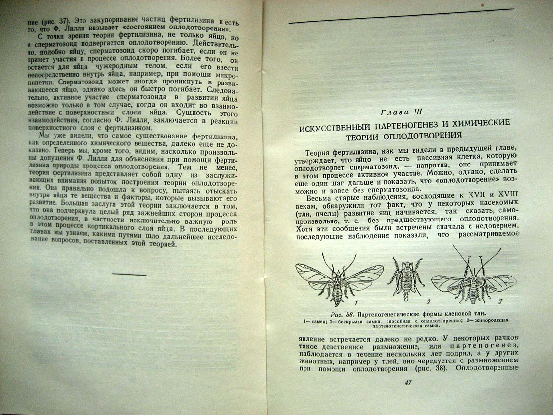 Дорфман В. Химическая эмбриология.