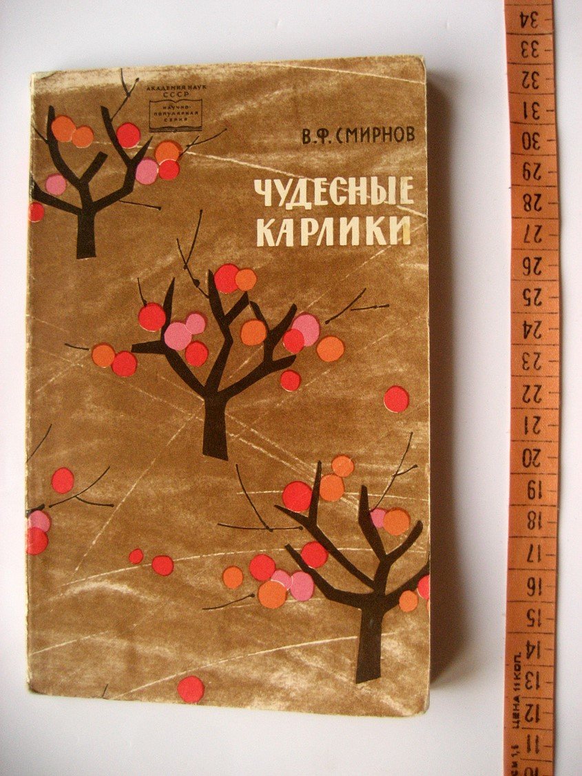 Смирнов В. Чудесные карлики.
