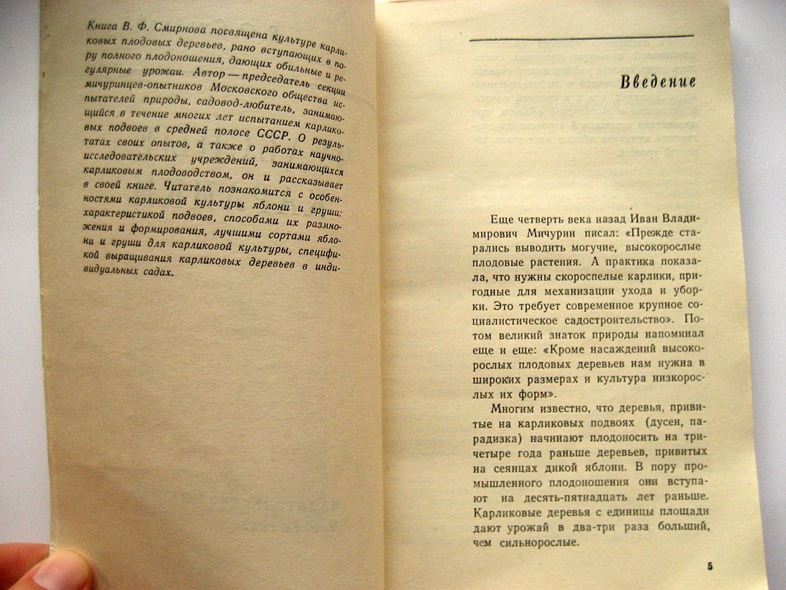 Смирнов В. Чудесные карлики.