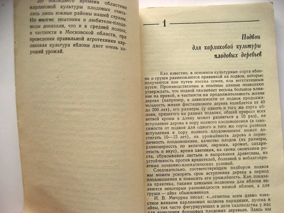 Смирнов В. Чудесные карлики.