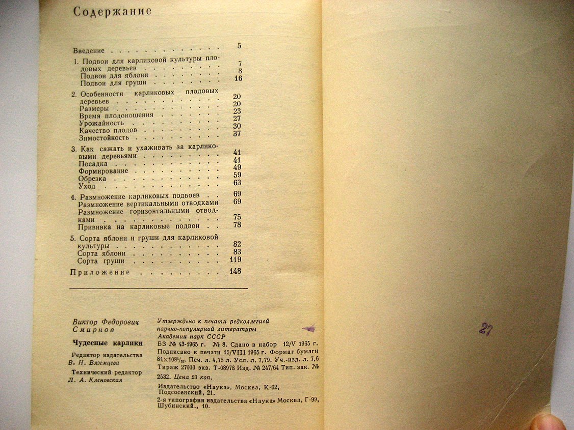 Смирнов В. Чудесные карлики.