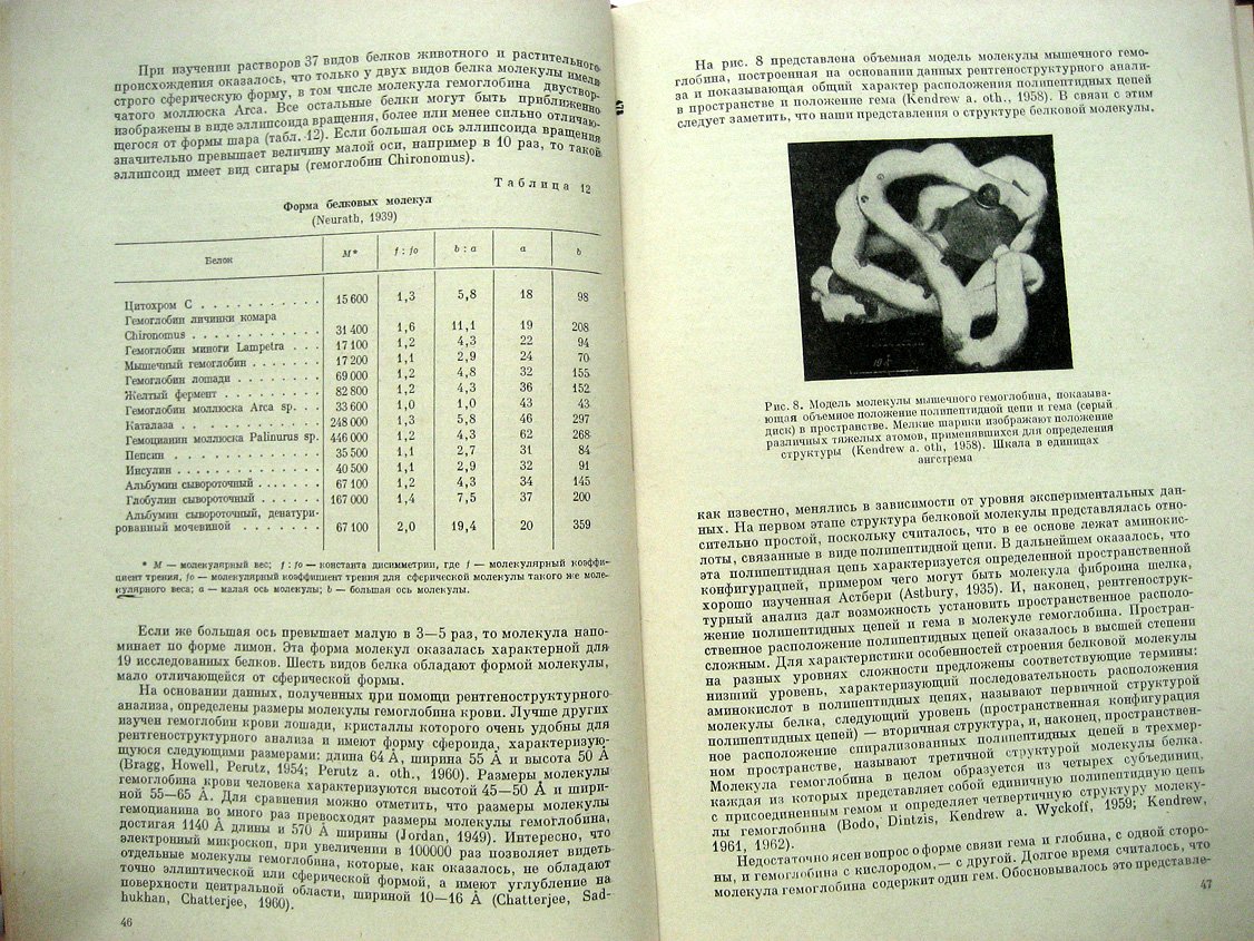 Коржуев П. Гемоглобин. Сравнительная физиология и биохимия