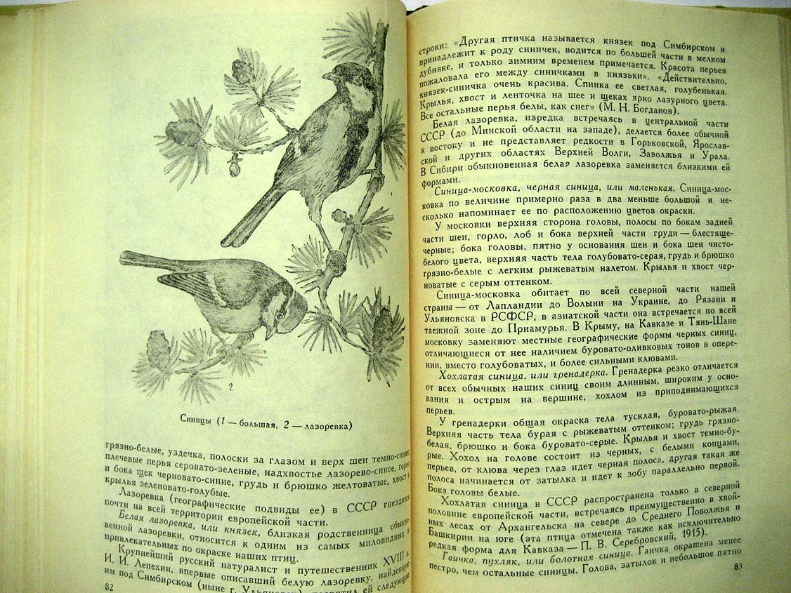 Беме Л. Жизнь птиц у нас дома.