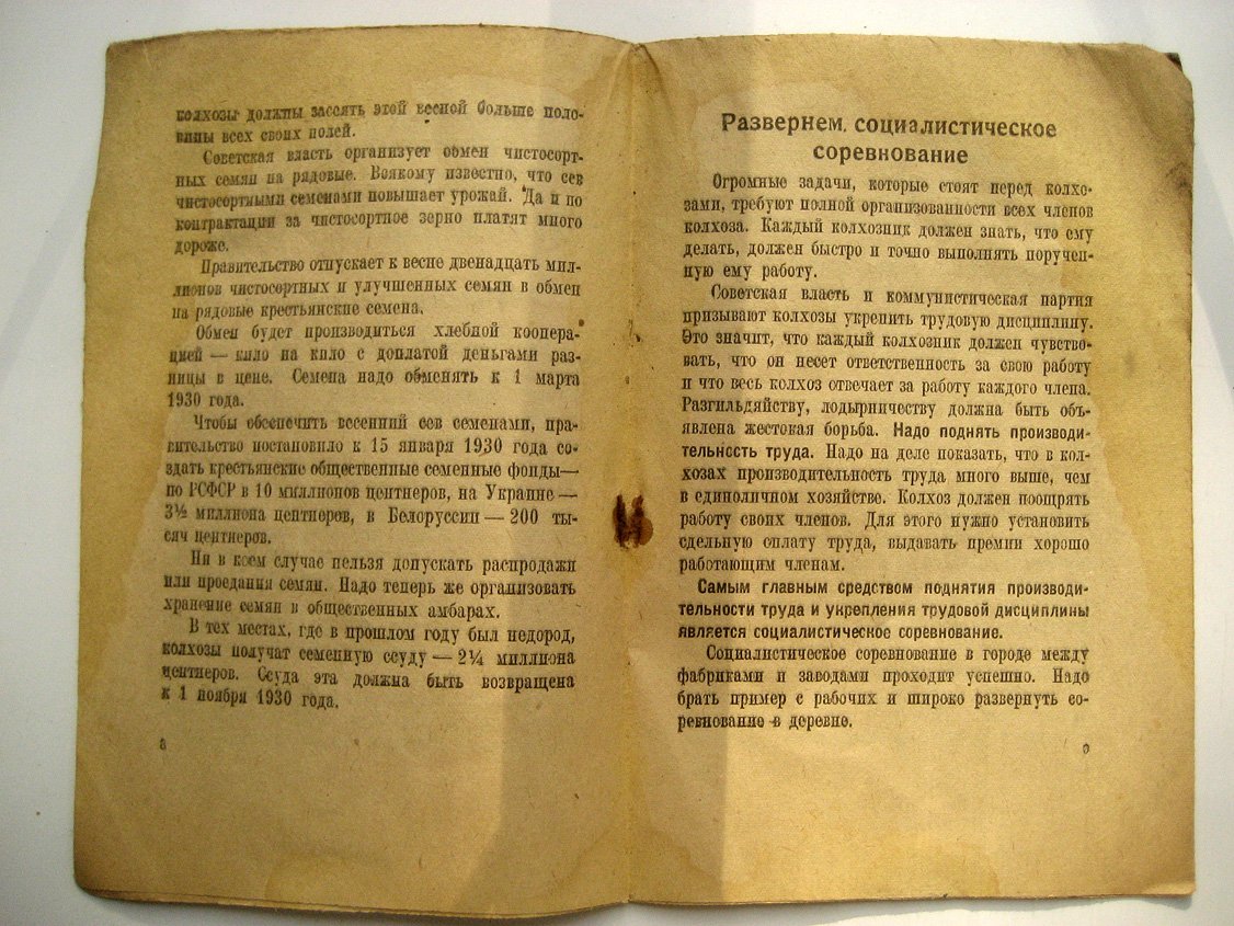 Давидюк А. Что решило правительство о весеннем севе.