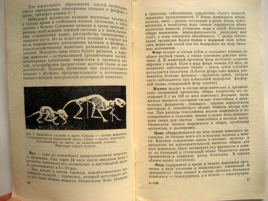 Петрийчук Д. Химия в животноводстве.