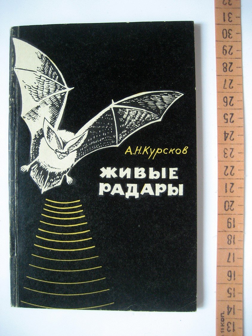 Курсков А. Живые радары.