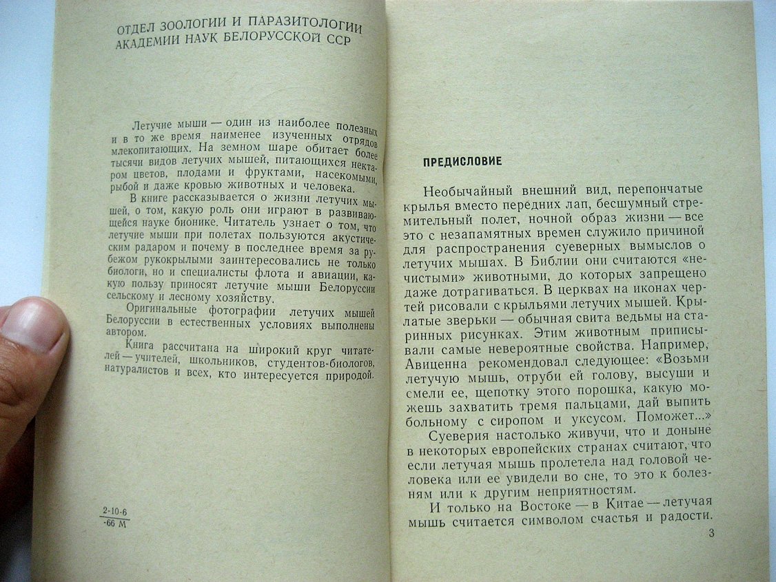 Курсков А. Живые радары.