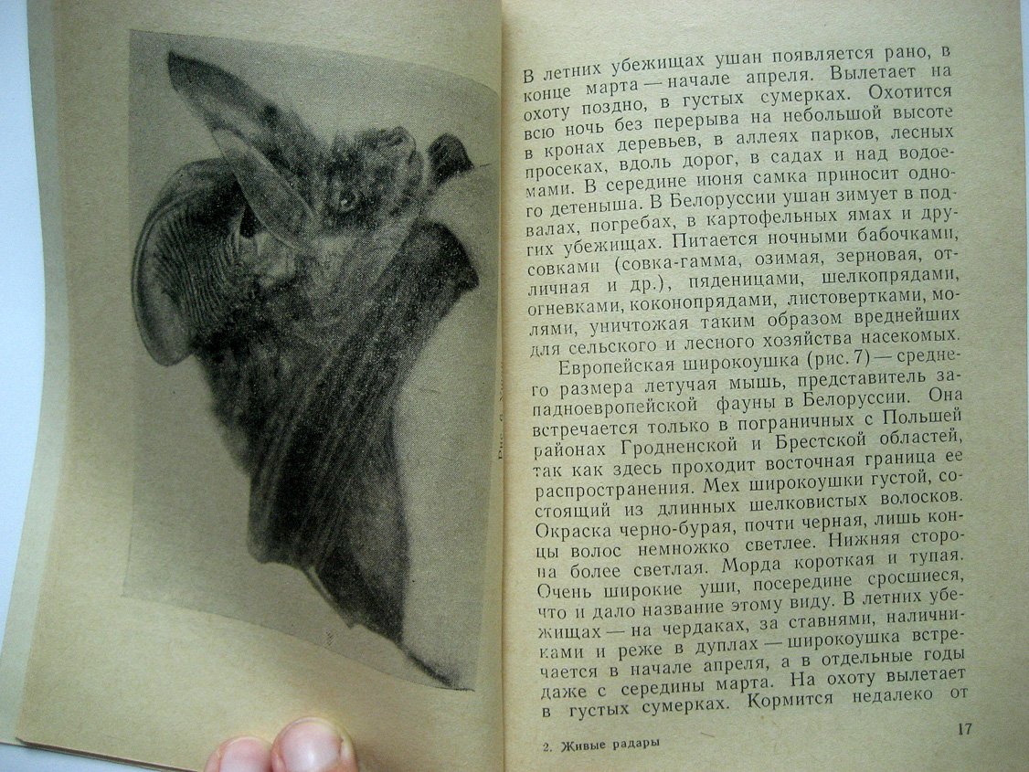 Курсков А. Живые радары.