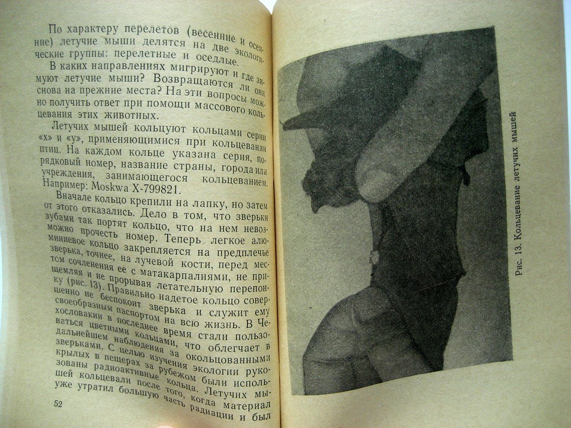 Курсков А. Живые радары.