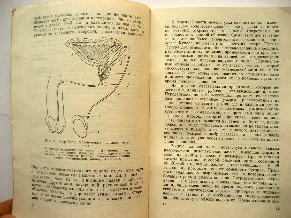 Порудоминский И. Гоноррея мужчины.