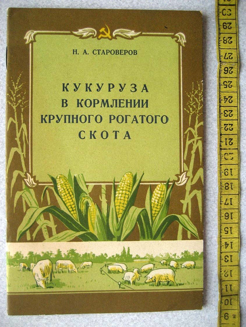 Староверов Н. Кукуруза в кормлении крупного рогатого скота.