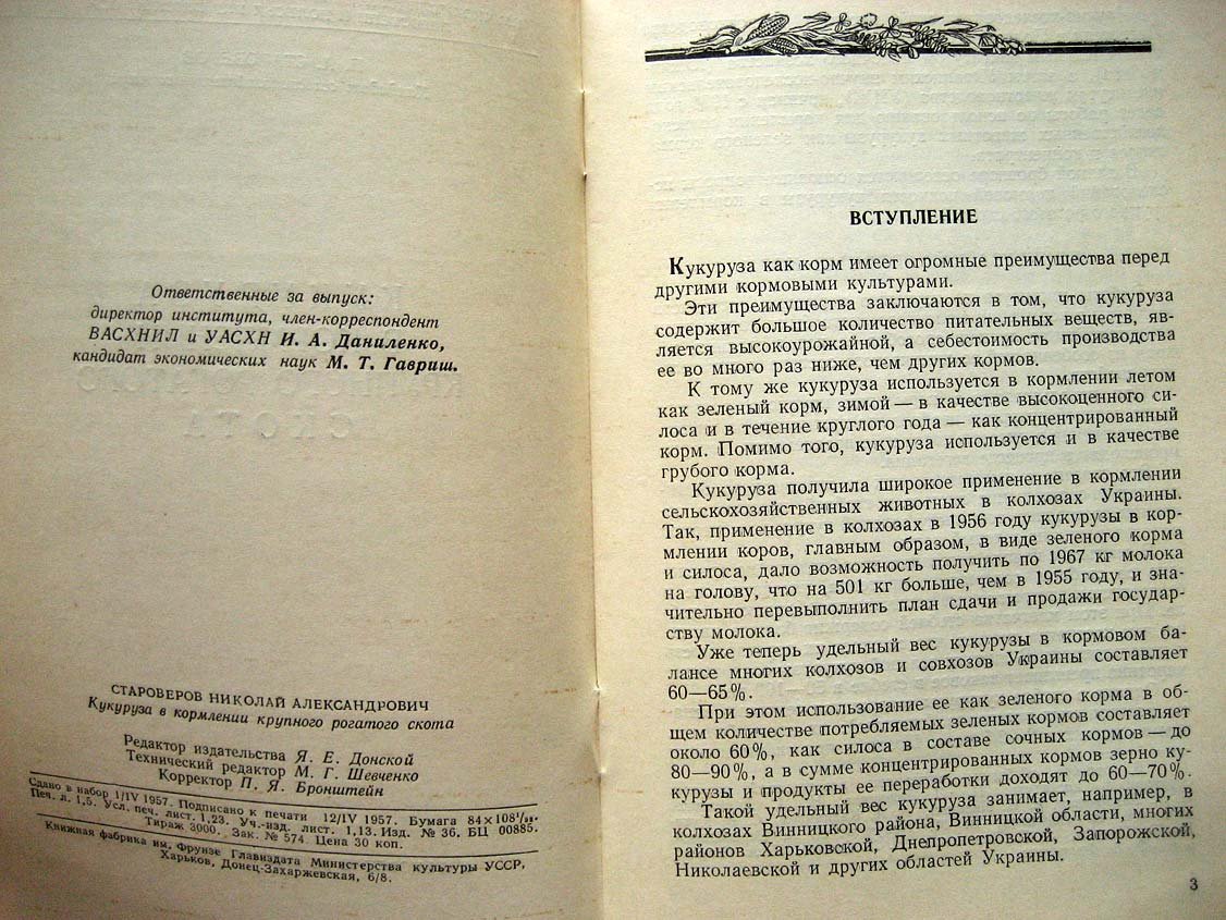Староверов Н. Кукуруза в кормлении крупного рогатого скота.