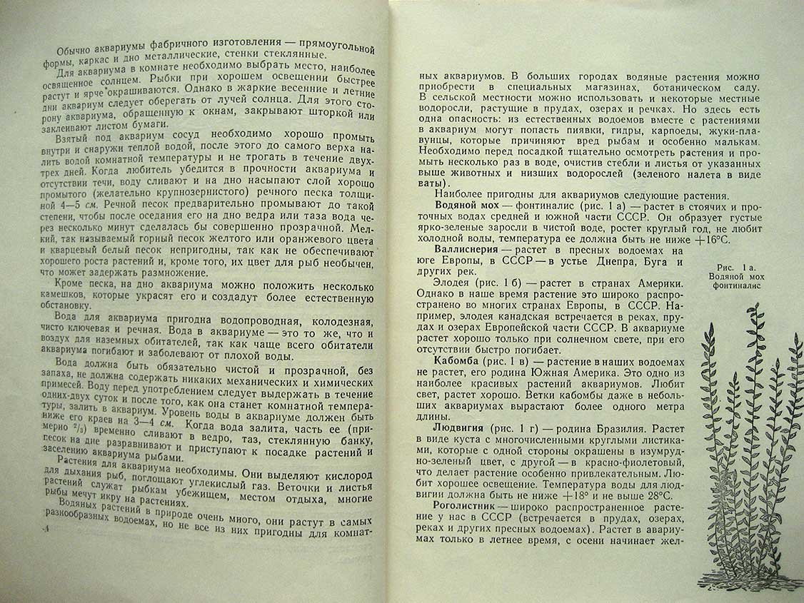 Сосновский И., Корнеева В. Живой уголок дома.