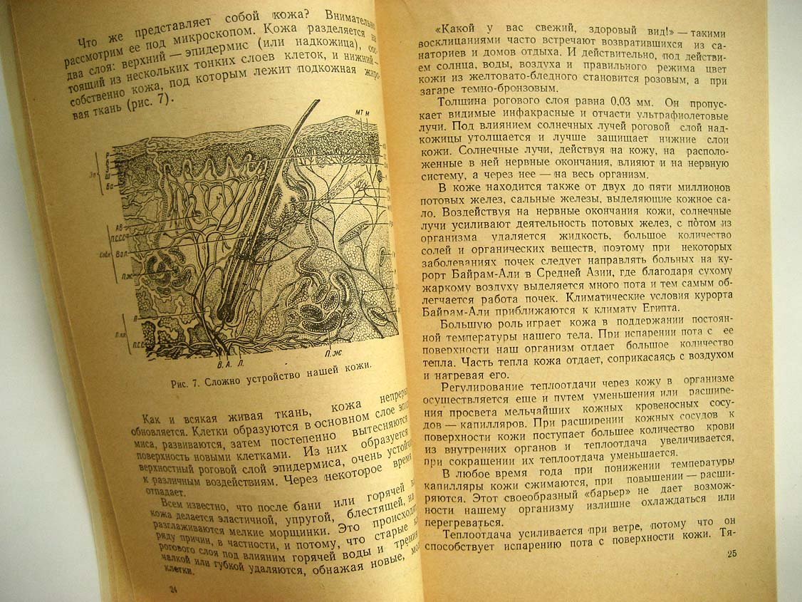 Ефимов В. Солнце и здоровье.