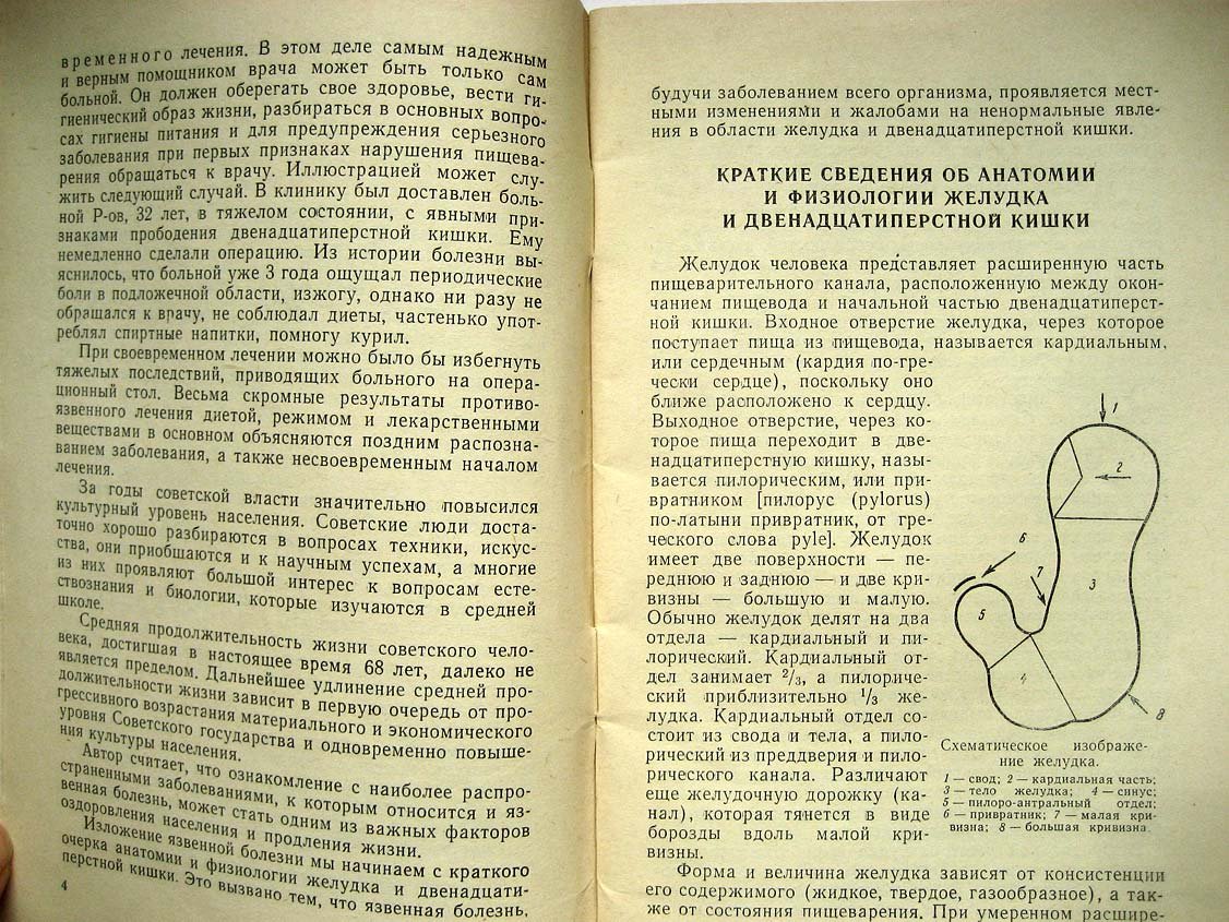 Гукасян А. Язвенная болезнь.
