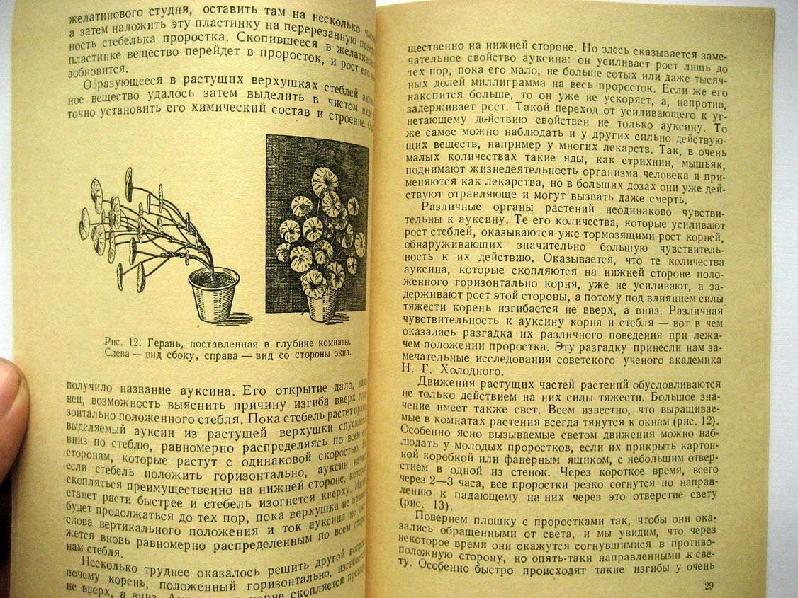 Максимов Н. Как живет растение.