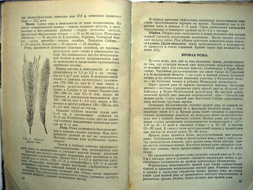Перекальский Ф. Биология зерновых культур.