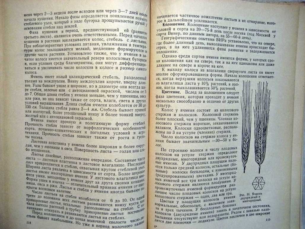 Перекальский Ф. Биология зерновых культур.