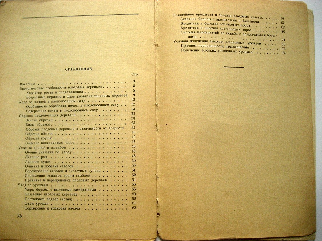 Никишин К. Уход за плодоносящим садом.
