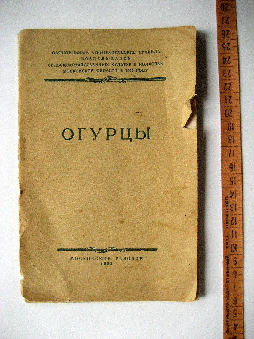 Огурцы.